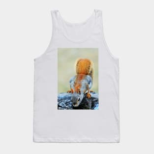 Thirsty Red Squirrel Tank Top